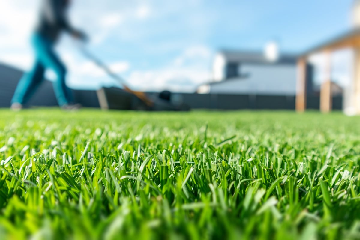 Spring season sunny lawn mowing in garden