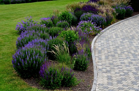 Flower Beds