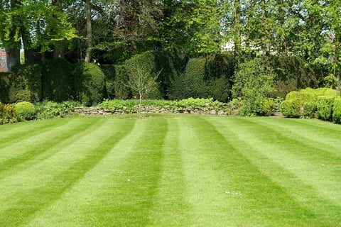 Fresh Cut Lawn