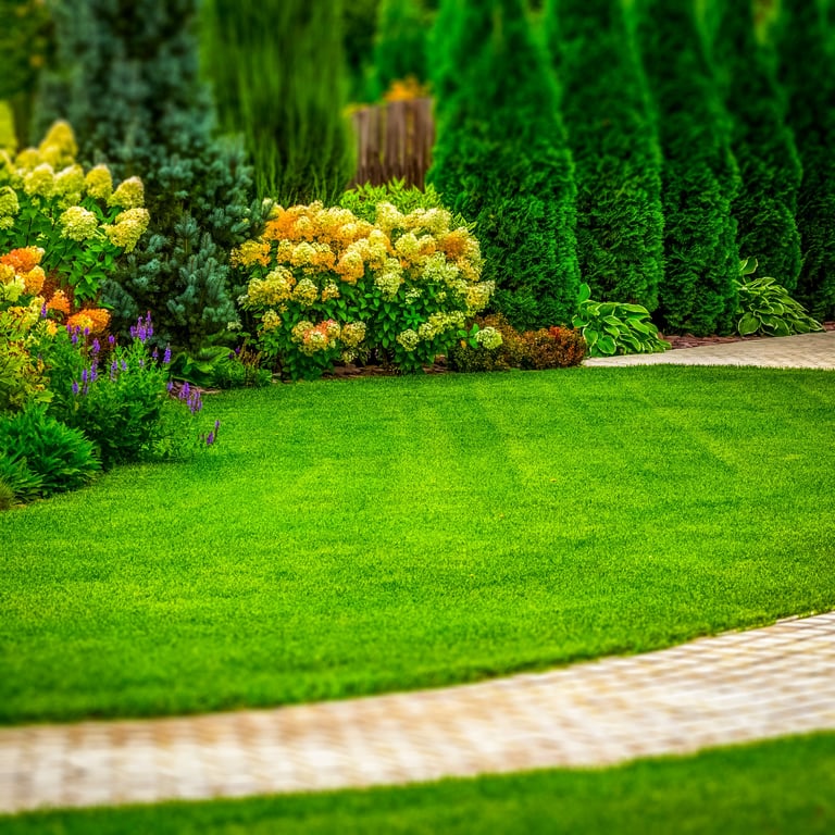 Freshly cut grass in the backyard of a private house