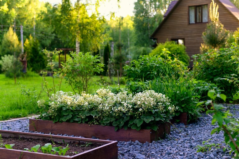 Garden Beds