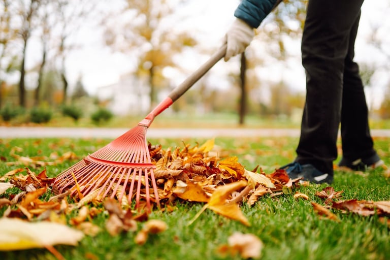 Fall leaf cleanup yard work seasonal autumn property maintenance