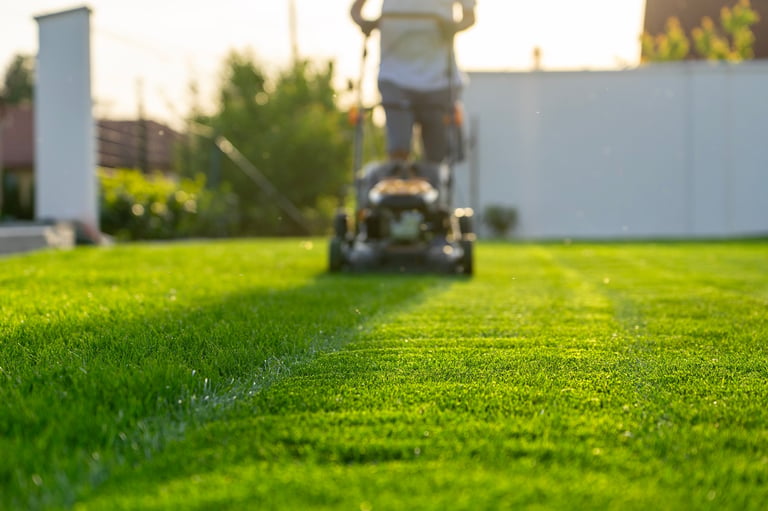 Green grass cutting with lawn mower