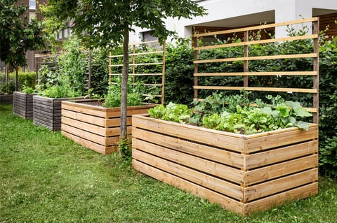 Garden Beds