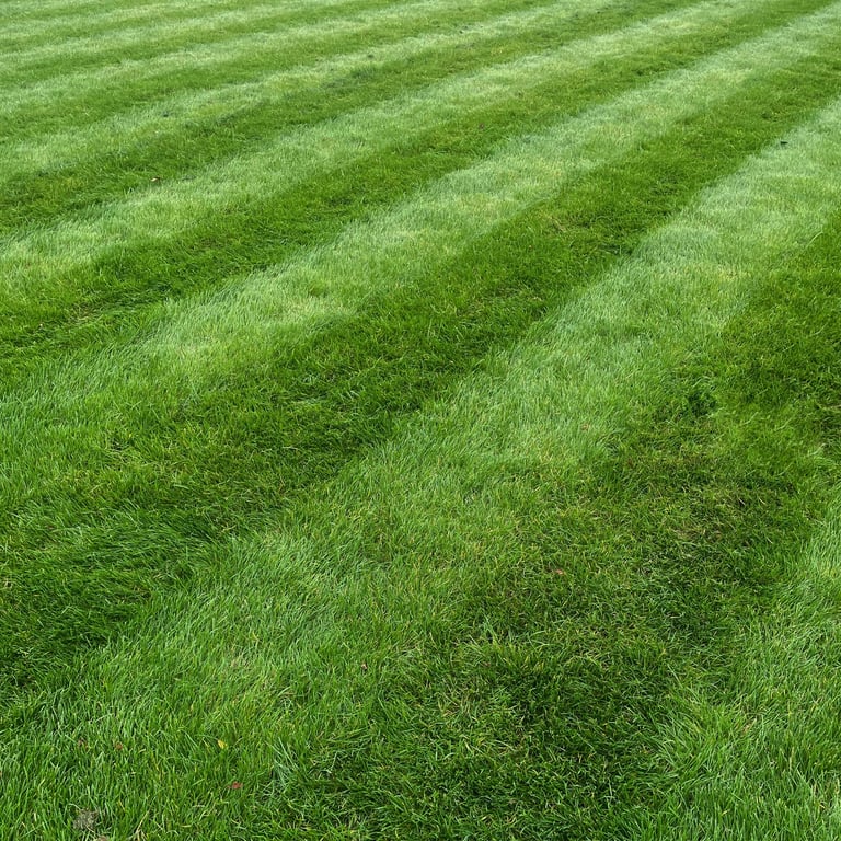 Freshly mowed striped lawn pattern
