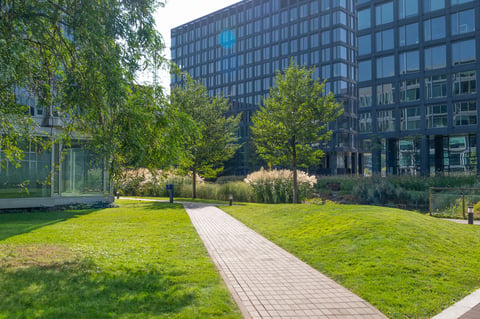 Green plantings among office buildings modern landscaping