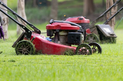 Red lawn mower cutting grass