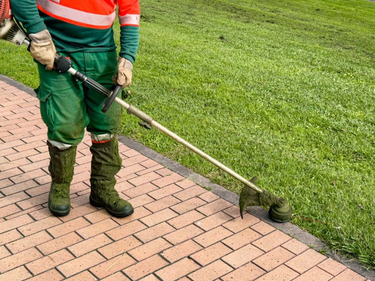 Professional lawn edging service