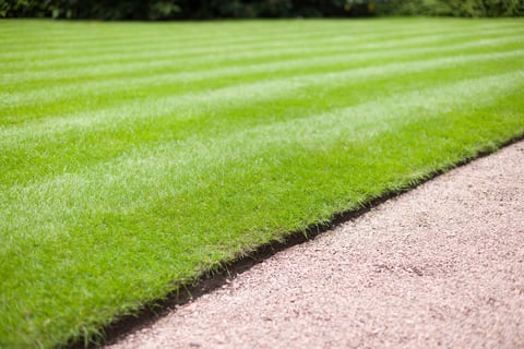Professional edging results