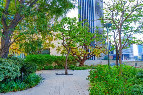 Lush greenery garden framed by skyscrapers
