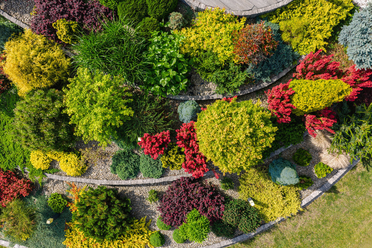 A beautifully arranged garden featuring colorful plants and shrubs