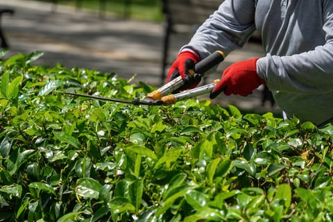 Rob Ritter - Co-Owner of A&M Lawn Busters