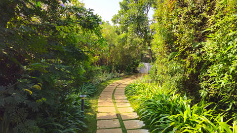 Garden Pathways